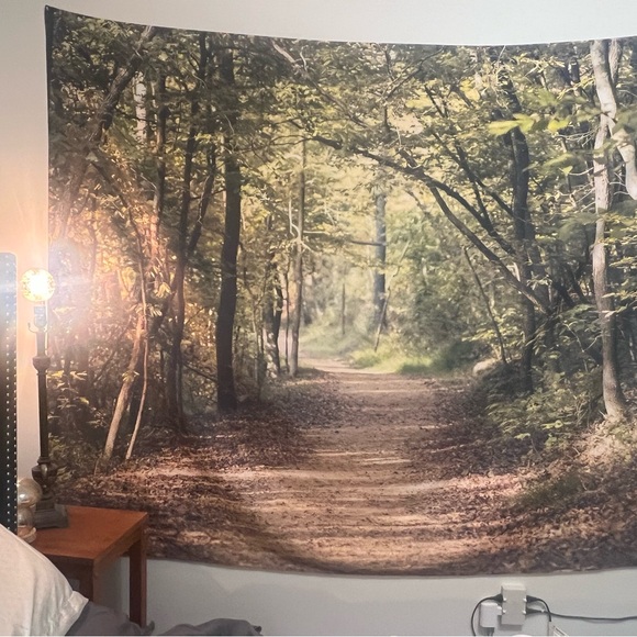 Forest Light by Ann Barnes Wall Tapestry
By East Urban Home. Size : 68"H x 80" W - Picture 2 of 3